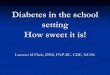 Diabetes in the school setting How sweet it is! Laureen M Fleck, …fasnneta.ipower.com/2009_Conference/Diabetes_In The... · 2012-07-16 · Insulin Requirements The starting dose