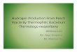Hydrogen Production From Peach Waste By Thermophilic Bacterium · Microsoft PowerPoint - 01-colloqium.ppt Author: sclements Created Date: 4/11/2008 10:38:15 AM 