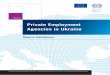 Private Employment Agencies · 2018-06-22 · of the ILO Convention 181 on Private Employment Agencies (1997), to provide up-to-date detailed information on the licensed private employment