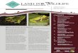 South East Queensland - Land for Wildlife · Newsletter of the Land for Wildlife Program South East Queensland South East Queensland JANUARY 2017 Volume 11 Number 1 ISSN 1835-3851