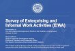 Survey of Enterprising and Informal Work Activities …...2017/01/01  · Side, “Gig” & Informal Work Activities of E&I respondents that engage in informal paid work activities,