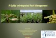 A Guide to Integrated Pest Managmenet · The Solution: Integrated Approach to Pest Management •Before modern pesticides, pest management recommendations built on an understanding