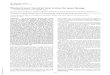 Plasmoviruses: Nonviral/viral vectors for gene therapy · Proc. Natl. Acad. Sci. USA Vol. 93, pp. 4175-4180, April 1996 Medical Sciences Plasmoviruses: Nonviral/viralvectorsforgenetherapy