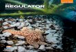the Regulator - Issue 4: 2018 · Opportunities for improvement in well integrity management 13 Ensuring representation for short-term members of the workforce 14 Engaging with HSRs