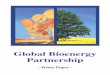 Global Bioenergy Partnership · The objective of this White Paper is to discuss how the Global Bioenergy Partnership could contribute to the development and deployment of bioenergy