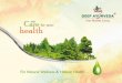 PRODUCT CATALOG Deep Ayurveda · 2019-06-29 · A leading ayurveda company India at Wahali (India). engaged in herbal healthcare a manutacturing IOC* authentic , genuine credible