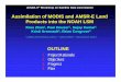 Assimilation of MODIS and AMSR-E Land Products into the NOAH …prhouser.com/houser_files/3rdWorkshop_Houser_2.pdf · 2009-12-17 · Assimilation of MODIS and AMSR-E Land Products