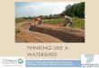 THINKING LIKE A WATERSHED - University of Florida · THINKING LIKE A WATERSHED Using a Watershed Approach to Improve Wetland and Stream Restoration Outcomes . Project Overview: The