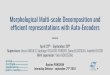 Morphological Multi-scale Decomposition and efficient ...perso.telecom- Multi-scale... infoGAN Latent