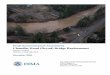 Federal Emergency Management Agency - Draft Environmental … · 2013-07-26 · Draft Environmental Assessment Chandler Road (Dryad) Bridge Replacement Lewis County FEMA-1734-DR-WA