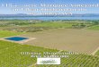 115+/-acre Marquee Vineyard and Pear Orchard in the Big ......115+/-acre Marquee Vineyard and Pear Orchard in the Big Valley AVA Offering Memorandum Price $4,000,000
