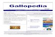 Gilani’s Gallopedia© Gallopedia · (Britain) YouGov Profiles looks at daily visitors to newspaper websites and which other publications‟ sites they frequently visit (YouGov)