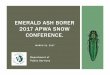 EMERALD ASH BORER 2017 APWASNOW CONFERENCE.iowa.apwa.net/Content/Chapters/iowa.apwa.net/File... · treatment or removal within fourteen (14) calendar days of notification of any trees
