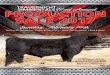 Welcome to our 42nd T - Trauernicht Simmentals...Trauernicht Simmentals Production Sale 2017 • Sunday, February 19th • Beatrice, Nebraska 2 CE BW WW YW ADG MCE Milk MWW Stay 12