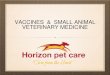 VACCINES & SMALL ANIMAL VETERINARY MEDICINEs3.amazonaws.com/onehealth-wp/content/uploads/2018/... · 25 to 30 years ago - Small Animal Veterinarians viewed vaccines as an income source