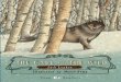Jack London The Call of the Wild - Klett.hu · THE CALL OF THE WILD Teen ELI Readers Teen Readers Eli Readers is a beautifully illustrated series of timeless classics and specially-written