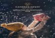 CHRISTMAS AND HOGMANAY 2018 · CHRISTMAS AND HOGMANAY FESTIVITIES Christmas at Cameron Lodges is a truly magical experience where you can relax and enjoy the festive season in magnificent
