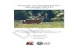 Basalt Deer Herd Management Plan Data Analysis Unit D-53€¦ · The Basalt mule deer Data Analysis Unit (DAU) D-53 is located in Pitkin, Eagle, ... Vegetation classes in mule deer