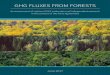 GHG FLUXES FROM FORESTS - Climate and Land Use Alliance · 2017-07-28 · national GHG inventories. Other reasons why independent estimates may differ include use of different data
