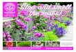 Stop and smell the roses! - Sheridan Nurseries...2020/06/08  · Stop and smell the roses! Varieties vary by store. 2 Exclusive Perennial Collection Drought Tolerant Long-lasting growth