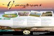 Marasa Honeymoon A4 Flyer - Mweya Safari Make the most of your precious honeymoon by combining a relaxing