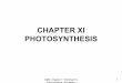 CHAPTER XI PHOTOSYNTHESIS - Agri-teamagriteam.weebly.com/.../1/4/6/5/14656198/chapter_xi__photosynthesi… · DMA: Chapter 11 Hartmann's Plant Science, 4th edition 3 • The wavelengths