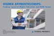 HIGHER APPRENTICESHIPS · industry stakeholders prior to consultation meetings. This range of stakeholders included umbrella or peak organisations along with business enterprises,