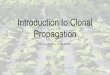 Introduction to Clonal Propagation - ESF · Goal Reproduce plants with the identical genotype of the parent plant Flower, foliage, fruits, disease/pest resistance, etc. Not possible