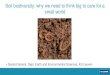 Soil biodiversity: why we need to think big to care for a ... · Soil biodiversity: why we need to think big to care for a small world. 2 Gerard Govers Biodiversity is a hot topic