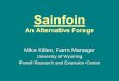 Sainfoin · 2020-07-24 · Attributes of Sainfoin • Non-bloating characteristic of green forage in ruminant animals • Extremely palatable and nutritional forage • Resistance