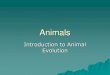Animals - Mt. SAC 2/Biology... · 2020-03-26 · muscle tissue Most reproduce ... Morula Blastula Gastrula –Blastopore –Archenteron –Two layers of tissue (endoderm & ectoderm)