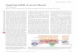 Targeting siRNA to arrest fibrosisNATURE BIOTECHNOLOGY VOLUME 26 NUMBER 4 APRIL 2008 399Targeting siRNA to arrest fibrosis Scott L Friedman Vitamin A–mediated targeting of small