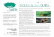 TREES & SHRUBS - Colorado State University 2017-11-10آ  The Plains life zone, 3,500 to 5,500 feet, is