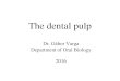 Department of Oral Biology 2016 · The dental pulp (summary) •Structure of the pulp •Extracellular matrix and cells in the pulp •Blood and lymph supply of the pulp •Innervation