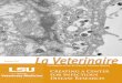 Creating a Center for Infectious Disease Research · LETTER FROM OUR INTERIM ASSOCIATE DEAN FOR RESEARCH & ADVANCED STUDIES This issue of La Veterinaire highlights our newly established
