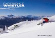 EXPERIENCE WHISTLER · 2019-02-14 · and glaciers. The best way to get a perspective on that grandeur is from the air. Bungee Jumping: We’ve tucked British Columbia’s highest