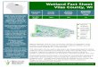 Wetland Fact Sheet Vilas County, WI - Wisconsin WetlandsThe Watershed Perspective — Vilas County, Wisconsin ++ To view PRW data, click on “Show Layers” and expand the “Wetlands