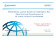 Mobilizing Large-Scale Investments for Geothermal ... Geothermal 04 Migara Jayawardena... · Mobilizing Large-Scale Investments for Geothermal Development in Small Island Economies