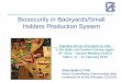 Biosecurity in Backyards/Small Holders Production System · PIG BREEDING FARMS CLOSE CYCLE OPEN CYCLE MULTISITE BREEDING PIGLETS FATTENING BREEDING PIGLETS FATTENING ... Small scale