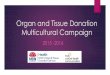 Organ and Tissue Donation Multicultural Campaign · This is the "Donate Life Week" in Australia wherein we encourage people to register for organ and tissue donation. We spoke to