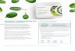 ORGANIC GREENS BOOSTER - Shaklee · ORGANIC GREENS BOOSTER Your shake’s power partner Organic Greens Booster is a whole food supplement that provides the equivalent of one cup of