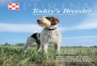 Today's Breeder - Issue 78 | Purina Pro Club · Irish Wolfhound National Specialty in May at Purina Farms. Our good friends, ... 10 Spotlight 28 From the Field 30 Purina Farms On