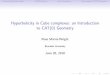 Hyperbolicity in Cube complexes: an Introduction to CAT(0 ... · Classical Hyperbolic SpaceCAT(0) SpacesCube ComplexesAdvantages of CAT(0) geometry History of Hyperbolic geometry