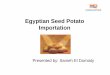 Egyptian Seed Potato Importation - UNECE · 2011-02-08 · Potato facts No. 1 in the world in energy production. No. 2 in the world in carbohydrate and protein production. No. 3 as