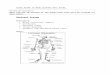 Body Systems Unit Test Study Guide€¦  · Web viewFunction/s: To rid the body of liquid waste (urine) Urine is the result of the excretory system balancing the amount of water