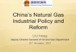 China’s Natural Gas Industrial Policy and Reform China’s Natural Gas Industrial Policy...3 . To encourage international cooperation in oil and gas industry : The guidance of foreign
