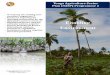 To improve the enabling envi- ronment, Programme 2 focuses on … · 2019-05-06 · Tonga Agriculture Sector Plan (TASP) Programme 2 Enabling Environment To improve the enabling envi-ronment,
