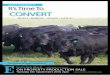 Coota Park Blue-E Its T’ ime To CONVERT · 2016-08-17 · Please keep us informed on we genuinely want to know. DWJK284 Lot 18 DWJK382 Lot 19 DWJK74 ... This is undoubtedly the