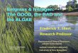 Eelgrass & Nitrogen: The GOOD, the BAD and the ALGAE · The nitrogen cycle in an eelgrass meadow: Dissolved Inorganic Nitrogen (DIN) and Dissolved Organic Nitrogen (DON) are the primary