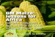 GM Maize: lessons for Africa - | ACBacbio.org.za/wp-content/uploads/2014/12/GM-Maize-Report.pdf · Ciba-Geigy, Saffola and Cargill Hybrid Seeds. Beginning in the late 1970s, due to